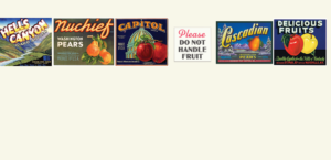 Interior wall graphics, left side.